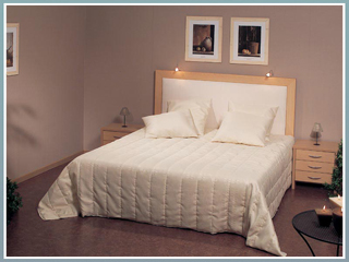 WMG Wasserbett